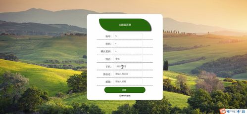 兒童安全新防線 基于SSM的防兒童走失網站設計與應用